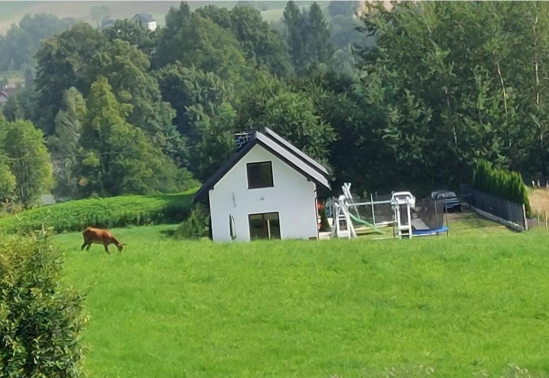 Vila Domek Pod Holica Bieszczady Ustrzyki Dolne Exteriér fotografie